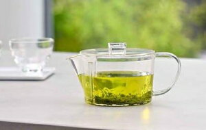 nI tB^[C}{ (VE) 450ml FIK-45-T yHARIO { KX gC^ ɂ v  tB^[ O\ H@Ήz