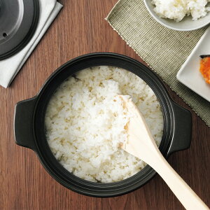 JNZ[ DEL-22 DELICIAS-fVAX- ѓy 2y͂//dqWΉ/ϔM//Ԃ/lpz