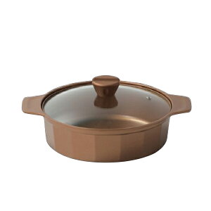 p[ CP-8805 VISIONS GOLD Coating IHΉ26cm