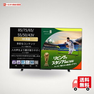 REGZA 75�C���` 4K �t�� 75M550M �X�}�[�g�e���r Airplay�Ή� 2023�N���f��