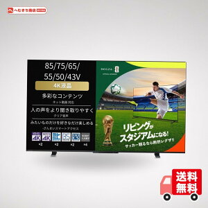 REGZA 43�C���` 4K �t�� 43M550M �X�}�[�g�e���r Airplay�Ή� 2023�N���f��