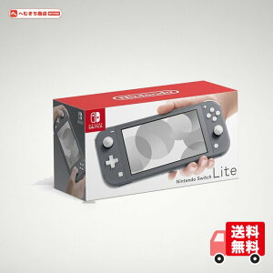 Nintendo Switch Lite �O���[