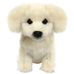 HANSA/nT }}V[vhbO FW/tFAEFC wbhJo[[ʂ   ][Stpi ObY Mtg v[g]