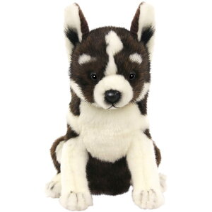 HANSA/nT nXL[ FW/tFAEFC wbhJo[[ʂ   ][Stpi ObY Mtg v[g]