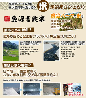 特大A3パネル付き目録<お米一年分>南魚沼産&新潟産こしひかり2kgコース2