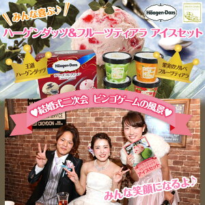 パネル付き目録ハーゲンダッツ&フルーツティアラアイスセット2