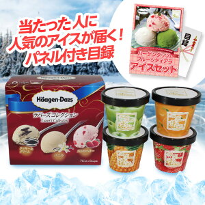 パネル付き目録ハーゲンダッツ&フルーツティアラアイスセット3