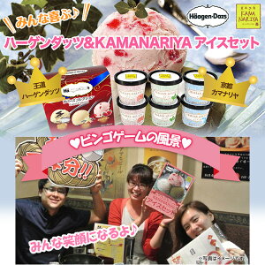 パネル付き目録ハーゲンダッツ&KAMANARIYAアイスセット2
