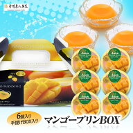 マンゴープリン 6個入り手提げBOX 金沢兼六製菓[来店 来場 記念品 粗品 参加賞][ゴルフコンペ景品 ゴルフ…