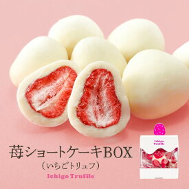 いちごトリュフ チョコレート いちごショートケーキBOX マキィズ[バレンタイン おもしろ チョコレート 2026 おもしろチョコ プレゼント 面白い マキィズ ギフト プレゼント プチギフト]