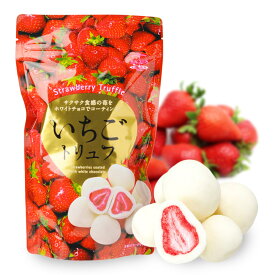 いちごトリュフ チョコレート マキィズ[バレンタイン おもしろ チョコレート 2026 おもしろチョコ プレゼント 面白い マキィズ ギフト プレゼント プチギフト]