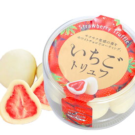 いちごトリュフ チョコレート カップ マキィズ[バレンタイン おもしろ チョコレート 2026 おもしろチョコ プレゼント 面白い マキィズ ギフト プレゼント プチギフト]