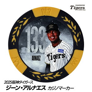 _^CK[X #133 W[EAGiX St}[J[ifUCj[v싅 c StObY Stpi]