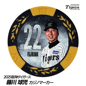 _^CK[X #22 싅ē St}[J[ifUCj[v싅 c StObY Stpi]