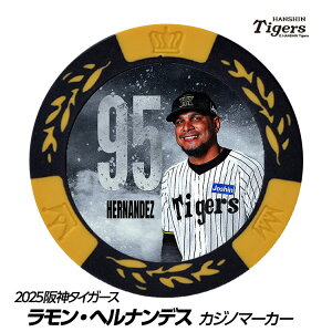 _^CK[X #95 EwifX St}[J[ifUCj[v싅 c StObY Stpi]