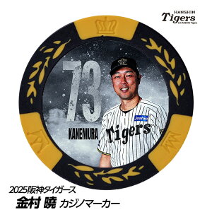 _^CK[X #73 R[` St}[J[ifUCj[v싅 c StObY Stpi]