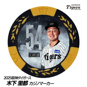 _^CK[X #54 ؉s St}[J[ifUCj[v싅 c StObY Stpi]