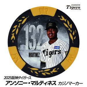 _^CK[X #132 A\j[E}eBlX St}[J[ifUCj[v싅 c StObY Stpi]