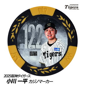 _^CK[X #122 ꕽ St}[J[ifUCj[v싅 c StObY Stpi]