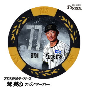 _^CK[X #77 pS t@[ŌR[` St}[J[ifUCj[v싅 c StObY Stpi]