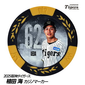 _^CK[X #62 AcC St}[J[ifUCj[v싅 c StObY Stpi]