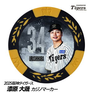 _^CK[X #34  St}[J[ifUCj[v싅 c StObY Stpi]