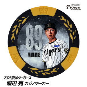 _^CK[X #89 nӗ t@[R[` St}[J[ifUCj[v싅 c StObY Stpi]