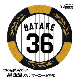 _^CK[X #36  St}[J[iwԍfUCj[v싅 c StObY Stpi]