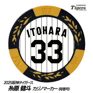 _^CK[X #33 l St}[J[iwԍfUCj[v싅 c StObY Stpi]