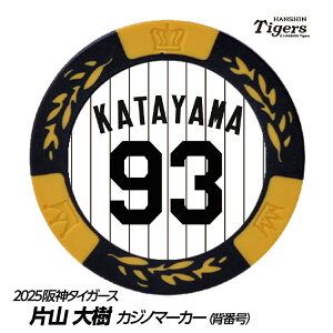 _^CK[X #93 ЎR uyR[` St}[J[iwԍfUCj[v싅 c StObY Stpi]