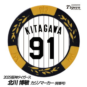 _^CK[X #91 k씎q t@[ŌR[` St}[J[iwԍfUCj[v싅 c StObY Stpi]