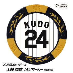 _^CK[X #24 Hא St}[J[iwԍfUCj[v싅 c StObY Stpi]