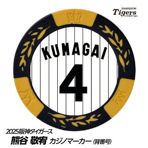 _^CK[X #4 FJhG St}[J[iwԍfUCj[v싅 c StObY Stpi]