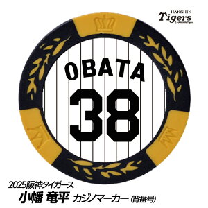 _^CK[X #38  St}[J[iwԍfUCj[v싅 c StObY Stpi]