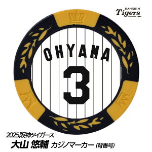 _^CK[X #3 RI St}[J[iwԍfUCj[v싅 c StObY Stpi]