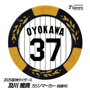 _^CK[X #37 yM St}[J[iwԍfUCj[v싅 c StObY Stpi]