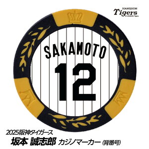 _^CK[X #12 {uY St}[J[iwԍfUCj[v싅 c StObY Stpi]