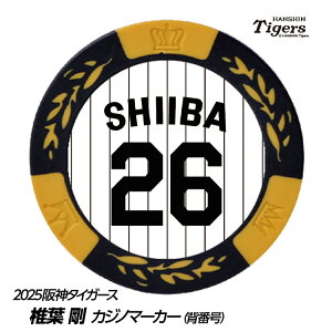 _^CK[X #26 ŗt St}[J[iwԍfUCj[v싅 c StObY Stpi]