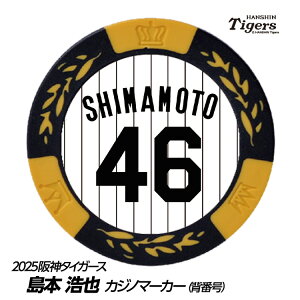 _^CK[X #46 {_ St}[J[iwԍfUCj[v싅 c StObY Stpi]