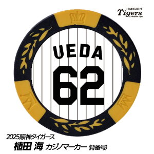 _^CK[X #62 AcC St}[J[iwԍfUCj[v싅 c StObY Stpi]