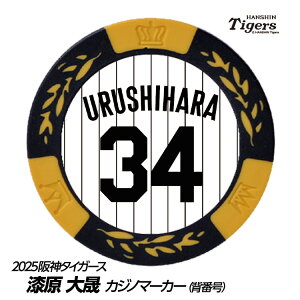 _^CK[X #34  St}[J[iwԍfUCj[v싅 c StObY Stpi]