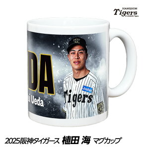 _^CK[X #62 AcC }OJbv[v싅 c _t@ ob`  I  ObY]