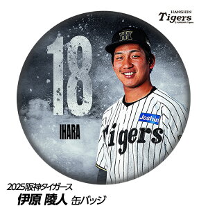 _^CK[X #18 Ɍːl ʃobWifUCj[v싅 c _t@ ob`  I ʃob`]