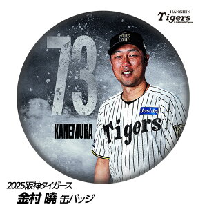 _^CK[X #73 R[` ʃobWifUCj[v싅 c _t@ ob`  I ʃob`]