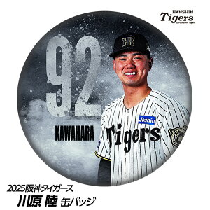 _^CK[X #92 쌴 ʃobWifUCj[v싅 c _t@ ob`  I ʃob`]