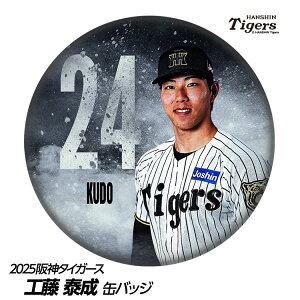 _^CK[X #24 Hא ʃobWifUCj[v싅 c _t@ ob`  I ʃob`]