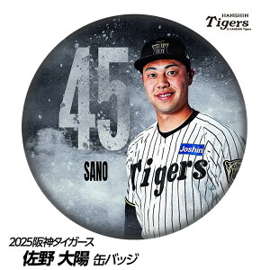 _^CK[X #45 쑾z ʃobWifUCj[v싅 c _t@ ob`  I ʃob`]