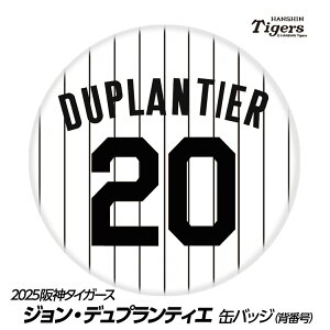 _^CK[X #20 WEfveBG ʃobWiwԍfUCj[v싅 c _t@ ob`  I ʃob`]