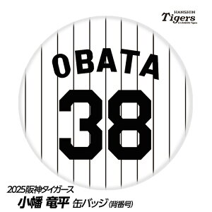 _^CK[X #38  ʃobWiwԍfUCj[v싅 c _t@ ob`  I ʃob`]