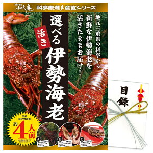 StRy ii A3pltژ^ Od̗Eav ɐCVi4lOj [W3][StRyii StRy ii ܕi Ryܕi][YN ii rS  񎟉 ^ C